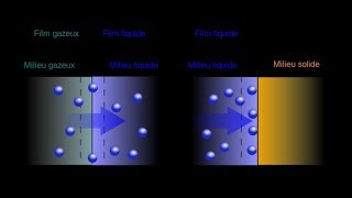 Absorption vs Adsorption 【4K】 [upl. by Spancake]