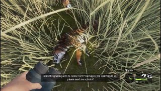 Pseudo Melanistic tiger story mission in the hunter call of the wild [upl. by Arabella]