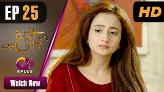 Pakistani Drama Is Chand Pe Dagh Nahin  EP 25  Aplus  Zarnish Khan Firdous Jamal  C2W1 [upl. by Azalea]