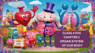 Class 4 EVS Chapter 1 Organ Systems of our body kidsknowledgepoint [upl. by Castle]