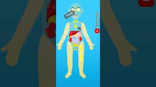 Sistema endocrino Definición y componentes  Fisiología del sistema endocrino [upl. by Salsbury27]