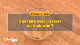 Que faire avec un reste de rhubarbe   La Quotidienne la suite [upl. by Nihs718]