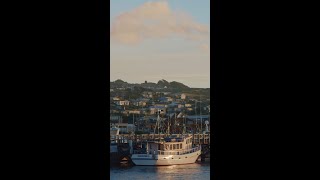 Bluff Oyster Festival Southland New Zealand [upl. by Are]