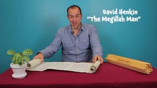 The Purim Megillah for kids An introduction to the scroll [upl. by Sueahccaz161]