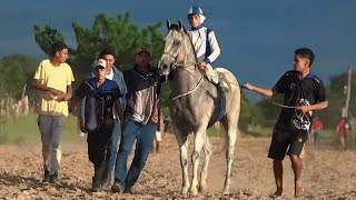 Corrida de Cavalos em ALEGRE DO PIAUÍ  João Costa PI  Torneio [upl. by Onailil]