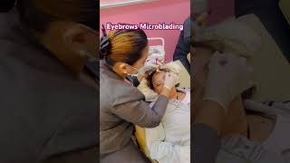 Eyebrows Microblading [upl. by Martinic]