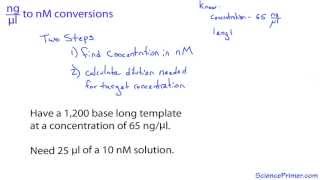 nanogram per microliter to nanomolar conversion [upl. by Nohsad]