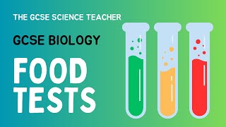 GCSE Biology Lesson 4 Food Tests Required Practical AQA OCR Edexcel [upl. by Necyla379]