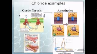 Pathophysiology 10 Electrolyte imbalace [upl. by Nairam]