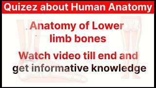 antomy of lower limb bones  निचले अंग की हड्डियों की शारीरिक रचना  nichlay azu ki hadiyon ki sakht [upl. by Bonns]