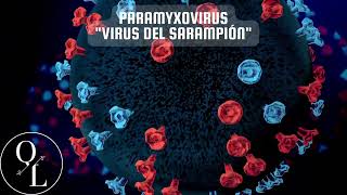 15 Paramyxovirus Sarampión y Paperas [upl. by Anawed]