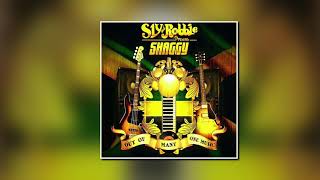 Shaggy Featuring ChronixxBridges 2013 PCS 720p [upl. by Ursuline]