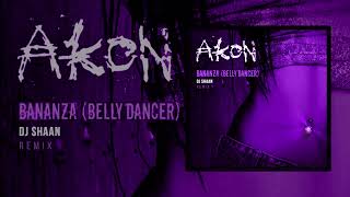 Akon  Bananza Belly Dancer  DJ Shaan Remix [upl. by Llenel]