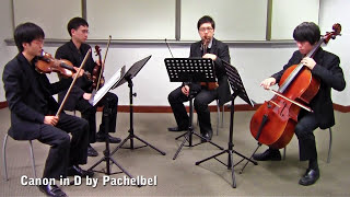 Canon in D by Pachelbel Vetta Quartet from Singapore [upl. by Cattier]