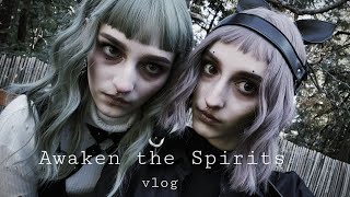 Awaken the Spirits  Midsummer Scream Vlog [upl. by Atteuqaj]