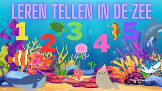 Leren Tellen in de Zee 🌊 Tellen van 1 tot 10 🐠 Nederlandse Kinderfilmpjes voor Peuters en Kleuters 🐬 [upl. by Littman]