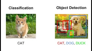 image classification python Tutorial for beginners  10 lines of Code  ResNet50 Tutorial [upl. by Nabila]