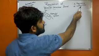 Regulation of Blood Glucose Level  Signal Transduction  Glucagon  Epinephrine  GPCR [upl. by Latsyrhk]