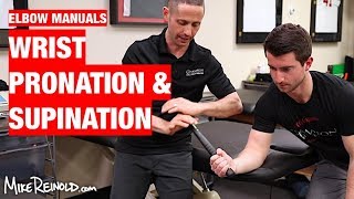 Forearm Pronation and Supination Manual Exercises [upl. by Ynohtnanhoj]