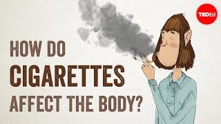 How do cigarettes affect the body  Krishna Sudhir [upl. by Milson543]