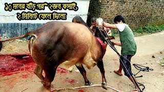 Huge Kurbani cow Done by Professional Butcher  2018 Kurbani Eid [upl. by Alia]