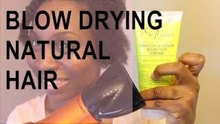 Blow Drying Natural Hair  SheaMoisture Tahitian Noni amp Monoi Blow Out Cream [upl. by Attelliw]