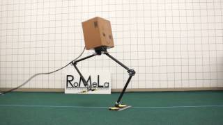 NABiRoS Non Anthropomorphic Bipedal Robotic System [upl. by Ayadahs]