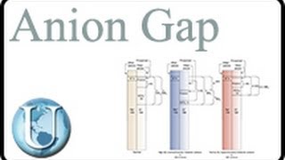 Anion Gap y su relacion con pH electrolitos y trastornos acido base [upl. by Heger]