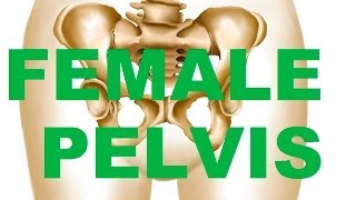 Female Bony Pelvis Types  In relation to CHILDBEARING [upl. by Einnep]