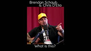 Brendan Schaub amp Chris DElia  What is this [upl. by Tuhn]