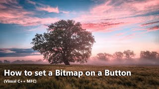 How to set a Bitmap on a Button Visual C MFC [upl. by Okihcim984]