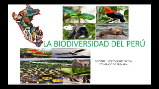 La Biodiversidad del Perú [upl. by Enelrihs758]