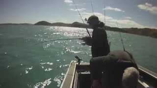 Soft Plastic Fishing for big Wellington Gurnard [upl. by Horten]