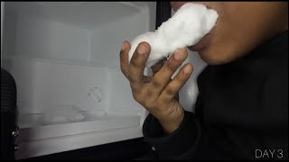 ONLY BITES  ASMR ICE EATING [upl. by Bicknell]