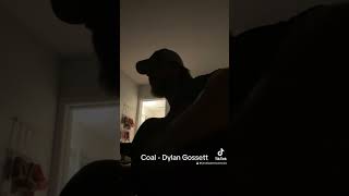 Coal  Dylan Gossett MusicCover CoverSong AcousticCover SongCover MusicianLife MusicLovers [upl. by Machute]