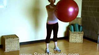 Upper Body Workout with Stability Ball [upl. by Ayela]