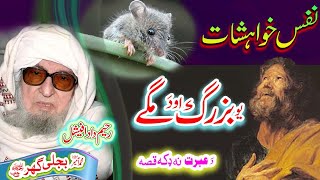 Molana Bijligar رحمۃاللہ علیہ pashto bayan بزرگ او دَ مگے واقعہ [upl. by Lamiv]