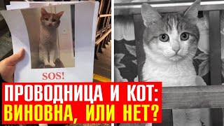 Мои ответы тем кто защищает проводницу выкинувшую кота на мороз из вагона попунктам [upl. by Rosella38]