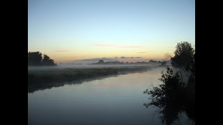 Vissen op onbewoond eiland  Alvers en de kromme draai [upl. by Dorren]