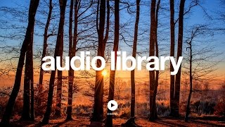 Acoustic Folk Instrumental – Hyde  Free Instrumentals No Copyright Music [upl. by Hannavahs]