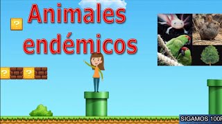 ANIMALES ENDEMICOS PARA NIÑOS  LOS ANIMALES ENDEMICOS [upl. by Yeltihw394]