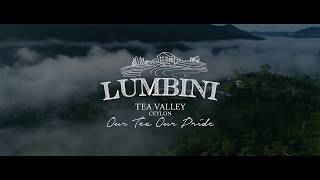 Lumbini Tea Valley Ceylon  Worlds Most Awarded [upl. by Oeram818]