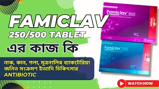 Famiclav 500 এর কাজ কি  ফুসফুস  ত্বক কানের মধ্যবর্তী জায়গা সাইনাস মূত্রনালীর সংক্রমণের চিকিৎসা [upl. by Yelrak]