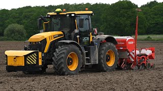 Maize Drilling with JCB Fastrac 4220 iCON amp Gaspardo [upl. by Fraze]