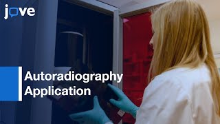 Autoradiography Application [upl. by Okihsoy]