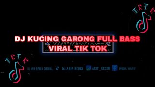 DJ KUCING GARONG FULL BASS VIRAL TIK TOK TERBARU 2023 [upl. by Arakat]