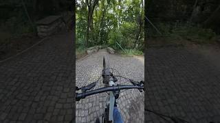 Einfach runter scheppern 😅💪mtb bike mountainbike [upl. by Ahtnamas]