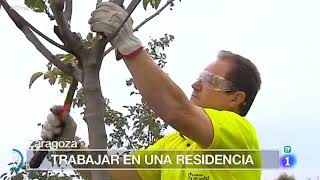 La Fundación Rey Ardid en España Directo [upl. by Lucinda]