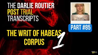 TRIAL TRANSCRIPT PART 85  Darlie Routier POSTTrial  Darlie’s Writ of Habeas Corpus Part 1 [upl. by Cleodal]