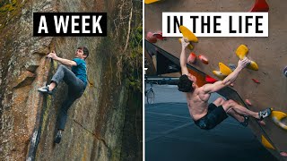 A Week Training With a Pro Climber Ft Jim Pope [upl. by Frech]